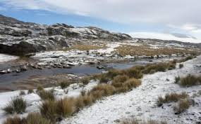 Nevó en córdoba y mi cabeza solo puede pensar en maru botana. Las Sierras De Cordoba Se Pintaron De Blanco Con La Primera Nevada Del Ano Agroverdad Noticias E Informacion Del Agro