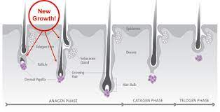 This means that they can be more difficult to remove with waxing. After Your Brazilian Wax Proskin Brazilian Waxing Salon