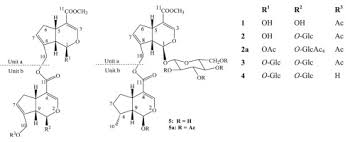 Image result for Psydrax subcordata