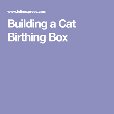 Petmate giant litter pan with microban, bleached linen review. Building A Cat Birthing Box Cats Foster Cat Box