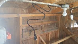 Chicken Coop Wired With Electricity Regular White Light And Heat Lamp Also With Electric Water Heater Its Zero Heat Lamps Electric Water Heater White Light