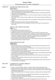 A financial manager is responsible for providing financial guidance and support to clients and colleagues so they can make sound business decisions. Client Services Manager Resume Samples Velvet Jobs