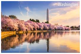 Washington Dc Detailed Climate Information And Monthly