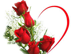 [Hình: images?q=tbn:ANd9GcTV4If3Ok9GjkyWFW5Bloj...Q&usqp=CAU]