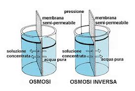 Ogni giorno il nostro corpo assume liquidi in pratica h2o + sostanze varie per il proprio sostentamento. Acqua Osmotizzata Da Bere Pro E Contro