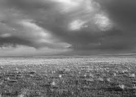 American Silence: The Photographs of Robert Adams | Exhibition