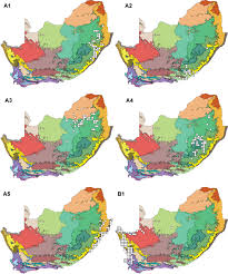 Image result for Lessertia macrostachya