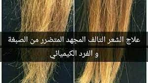 علاج الشعر التالف من الصبغات والفرد