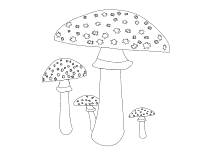 Sie sind aber durchaus auch für erwachsene geeignet. Pilze Ausmalbilder Von Pilzen
