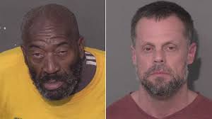 Trio arrested after car plunges into pond during police chase