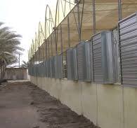Pad Fan Cooling System – Greenspan Agritech