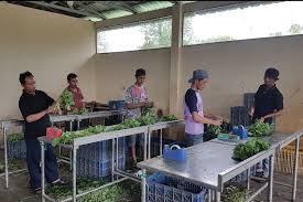 Contoh jawapan tugasan geografi pt3 2015 kegiatan ekonomi. Distribusi Pengertian Tujuan Dan Faktornya Halaman All Kompas Com