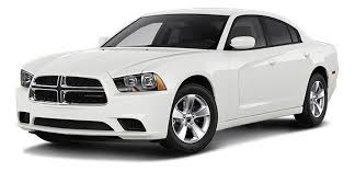 The greyhound bus terminal is located in downtown tampa on 610 polk street near the corner of pierce street and is accessible by taxi or limo from the airport. Cheap Tampa Airport Tpa Car Rentals Carrentals Com