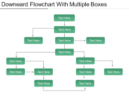 Downward Flowchart With Multiple Boxes Powerpoint