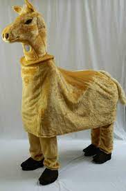 How to develop a pantomime. Pantomime Animal Costumes For Hire