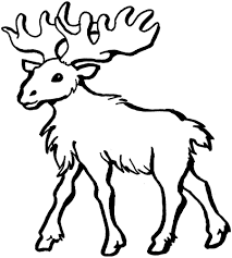 Star wars coloring pages han solo. Printable Moose Coloring Pages Coloringme Com
