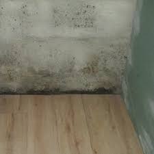 Zu eng an die kellerwände gerückte schränke und regale oder andere. Worauf Bei Kosten Zur Kellertrockenlegung Geachtet Werden Muss