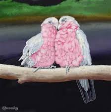 Birds On The Bay Podcast Pink Lovebirds Pet Birds White Bird Birds
