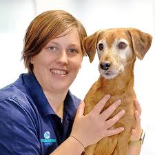 Unser Team stellt sich vor