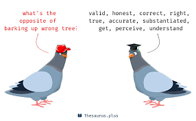 Barking up a wrong tree. 19 Barking Up Wrong Tree Antonyms Full List Of Opposite Words Of Barking Up Wrong Tree
