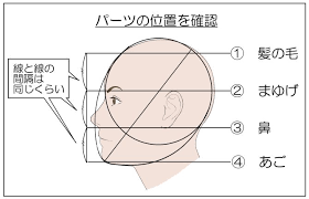 デッサンイラストに トレスして使える顔フリー素材３０ 初心者向け顔の描き方 楽しいお絵かき研究部 とどろきレミ ブログ 顔 描き方 描き方 顔