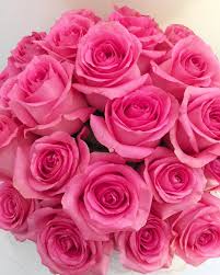 You can make beautiful flowers with bead and sequins. Good Morning Have A Gorgeous Day Rebecca Love Roses Pink Flowers Fabulous Beautiful Flower Arrangements Beautiful Roses Beautiful Flowers