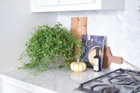 for styling your kitchen counters
