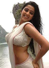 These actresses make their fans and the audience who browse. Top 10 Hottest Telugu Actresses