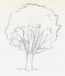 Tree Drawings Pencil Optical Illusion Drawing Pencil Drawings Of Girls