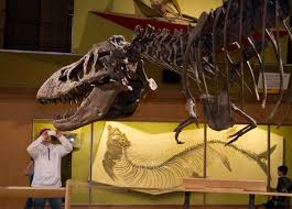 Visit Cleveland Museum Of Natural History
