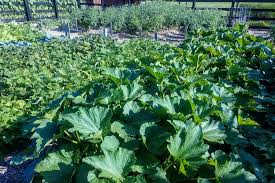 It hangs from a rod with an led lighting. How To Create A Raised Row Garden This Fall For A Great Garden Next