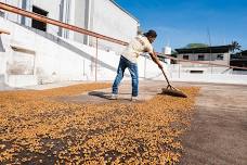 PEP Talk: Coffee Processing — Deeper Roots Coffee