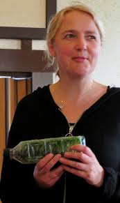 Fernwood treefern fibre