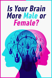 Do You Have A Male Or Female Brain Gender Quiz Brain Quiz Playbuzz Quizzes