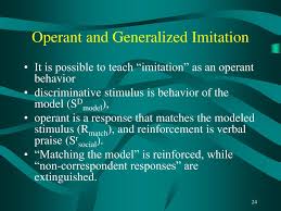 Ppt Notes For Exam 3 Begin Here Chapter 10 Conditioned Reinforcement Powerpoint Presentation Id 3548253