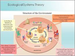 Https Andriaandiliou Files Wordpress Com 2011 06 Structure Of The Environment Jpg Ecological Systems Theory Ecological Systems Social Work Theories