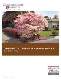 The tree's diameter can reach up to 9 feet. Wsu Extension Publications Ornamental Trees For Narrow Spaces Home Garden Series