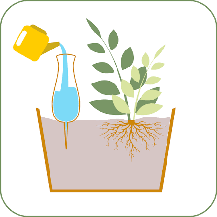 Why Does Terracotta Release Water Into Soil? | SmartiLiving