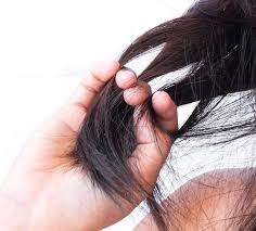 Why Is My Hair Color Coming Out Darker Than Usual At Home Hair Color Hair Gloss Hair Color Dark