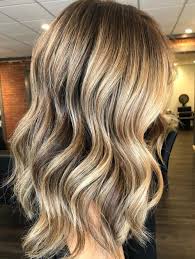 Choose the hue that is most suitable for your locks and skin type. Honey Blonde Hair Inspiration