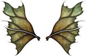 Are you searching for fairy wings png images or vector? Download Realistic Fairy Wings Png Png Image With No Background Pngkey Com