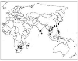 Image result for Gymnosporia tenuispina