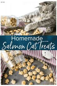 Pin By Heather Doherty On Kitties Etc In 2020 Cat Snacks Salmon Cat Homemade Cat Treats Recipes