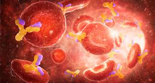 Hector topotecan plus carboplatin (paclitaxel plus carboplatin oder gemcitabin plus carboplatin) intergroup study of noggo und studiengruppe ovar. Sars Cov 2 Dualer Antikorper Vir 7831 Uberzeugt In Phase 3 Studie