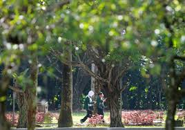 Federal territories minister khalid abdul samad assured that the investigation into the alleged corruption involved in the approval of taman rimba kiara project will be investigated despite the project approval by the cabinet. A Major Victory For Our Community Say Ttdi Residents After Court Rules In Their Favour The Star