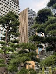 Marissa Wiggins, CFE