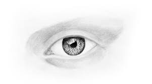 Our pencil study of an eye is broken down into four steps to help you understand each stage of the drawing process. How To Draw A Realistic Eye