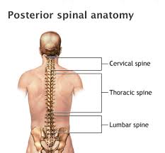 Maybe you would like to learn more about one of these? Spine Surgery Raleigh Chapel Hill Durham And Surrounding Areas North Carolina Specialty Hospital