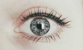58 Interesting Ideas Eye Color Chart Writing Tips Writing A Book