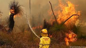 Sydney, australia — one case. Australians Flee Massive Bushfire Near Perth Amid Coronavirus Lockdown News Dw 02 02 2021